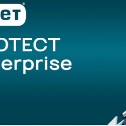 ESET PROTECT Enterprise 25 EQUIPOS 12 MESES