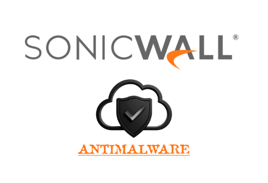 SONICWALL CAPTURE CLIENT ADVANCED 1-24 ENDPOINTS 1YR *Costo por usuario